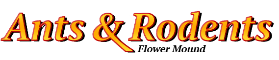 Flower Mound Ant Exterminator & Rodent Control Company Logo